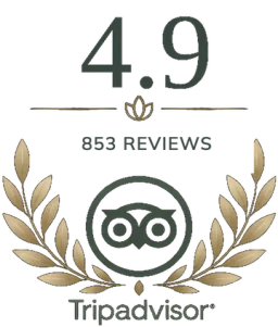 4.9 · 853 reviews · Tripadvisor