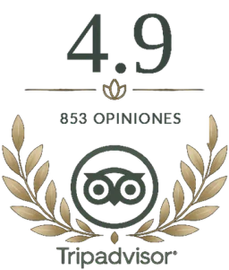4.9 · 853 opiniones · Tripadvisor